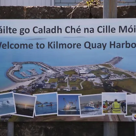 Vakantiehuis High Meadow House Duncormick